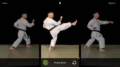 Kata Shotokan Capture d'écran de l'application #4