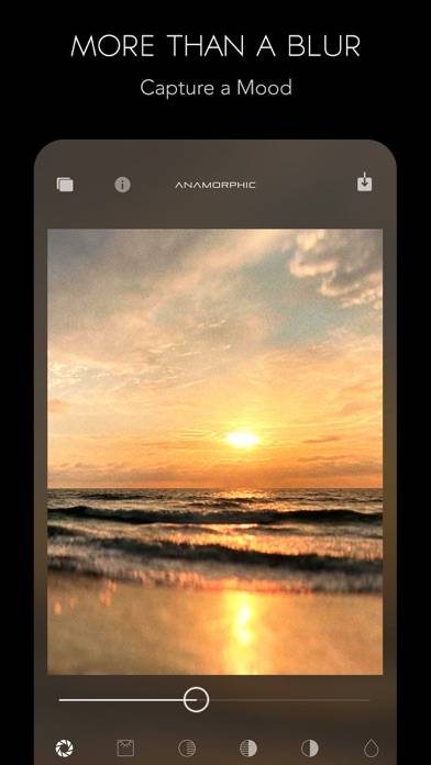 Anamorphic Cinematic Filters Captura de pantalla de la aplicación #2