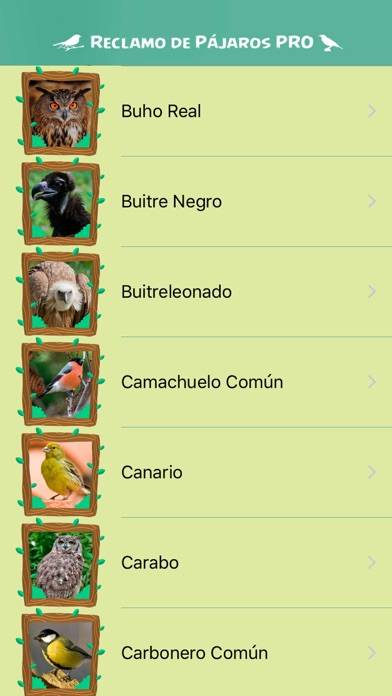 PRO Birds Complaints Captura de pantalla de la aplicación #3