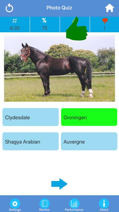 Horse Breeds Quizzes App screenshot #2