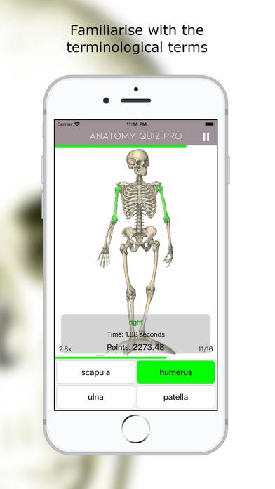 Anatomy Quiz Premium Uygulama ekran görüntüsü #1