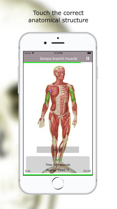 Anatomy Quiz Premium Uygulama ekran görüntüsü #2
