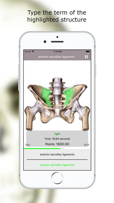 Anatomy Quiz Premium App skärmdump #3