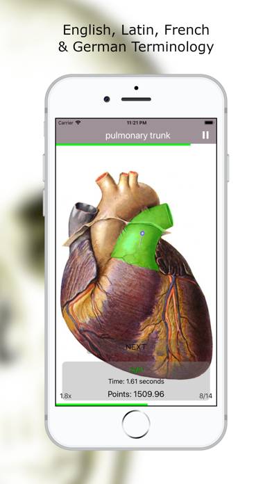 Anatomy Quiz Premium Uygulama ekran görüntüsü #4