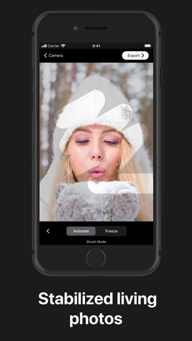 Loopsie: AI Photo Generator Скриншот приложения #4
