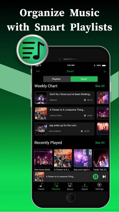 Offline Music Player App screenshot #3