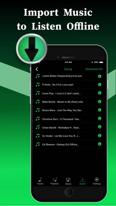 Offline Music Player Captura de pantalla de la aplicación #5