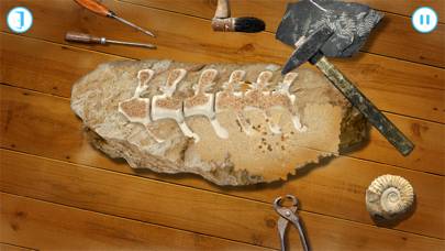 Andy's Great Fossil Hunt capture d'écran du jeu