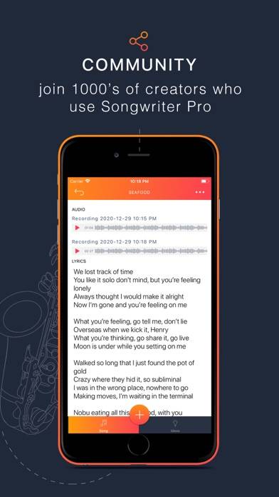Songwriter Pro: Lyrics plus Songs App screenshot #5