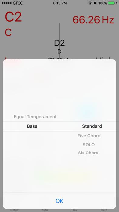 Accurate Bass Tuner App-Screenshot #4