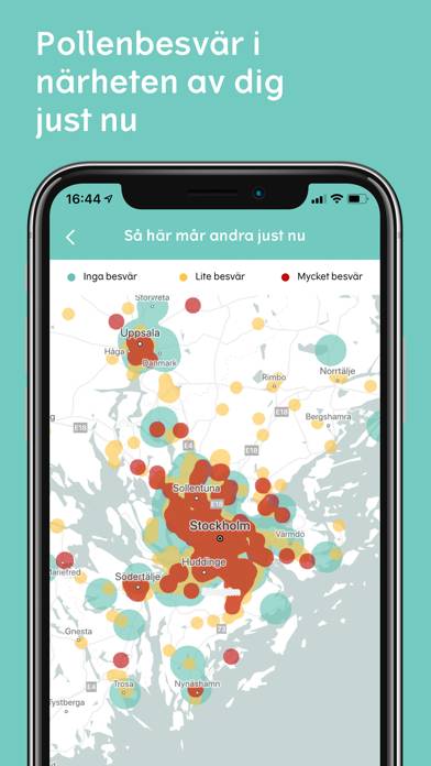 Pollenkoll App skärmdump #2