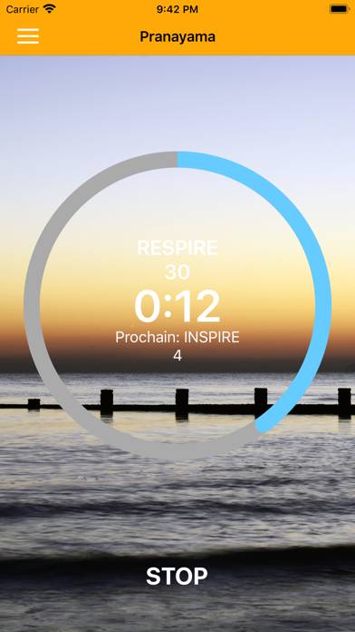 Pranayama Breathing Yoga Timer Schermata dell'app #2