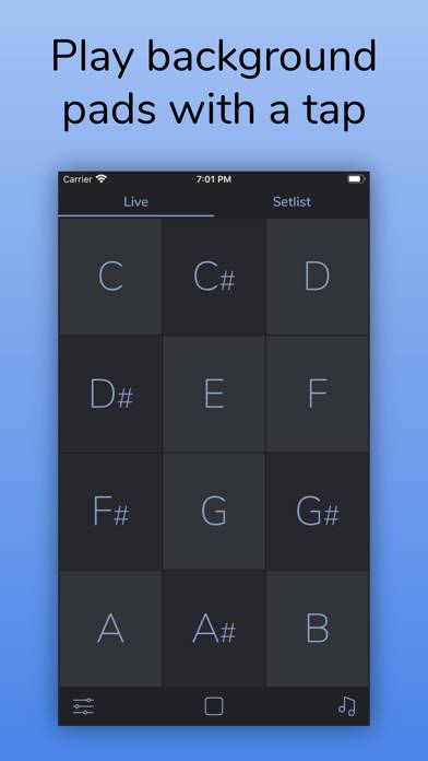 AutoPad — Ambient Pad Loops immagine dello schermo