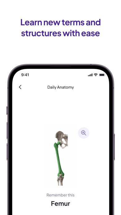 Daily Anatomy Flashcards Uygulama ekran görüntüsü #3