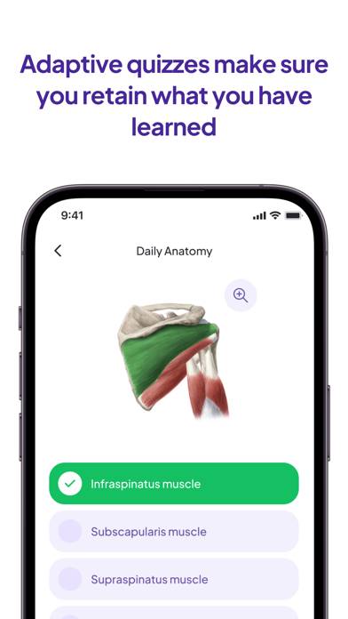 Daily Anatomy Flashcards Uygulama ekran görüntüsü #4