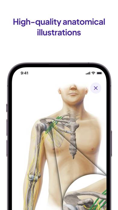 Daily Anatomy Flashcards Uygulama ekran görüntüsü #5