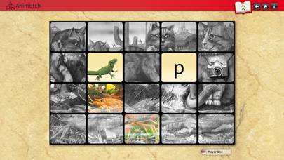 Animalia Education game screenshot