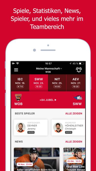 Deutsche Eishockey Liga App screenshot #5