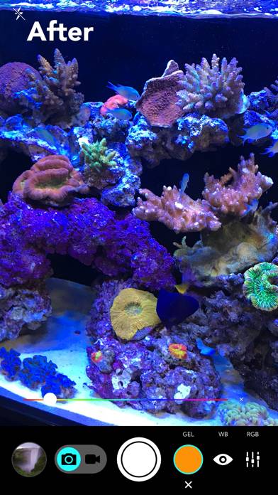 Aquarium Camera App screenshot #2