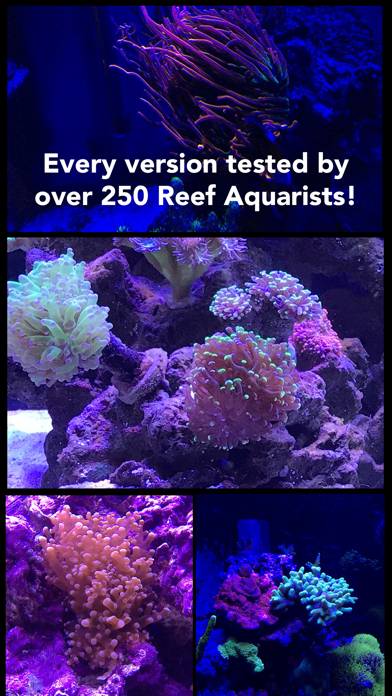 Aquarium Camera Schermata dell'app