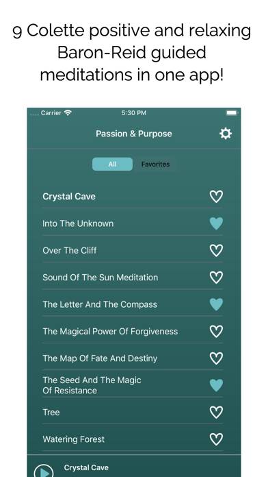 Passion & Purpose Meditations App screenshot #2