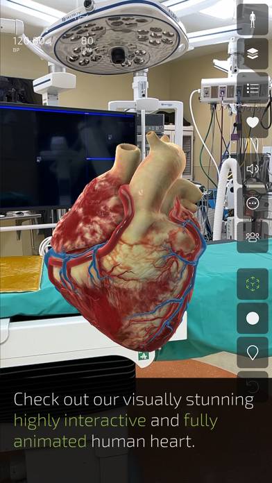 Insight Heart Schermata dell'app #3