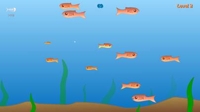 Fishy App skärmdump #3