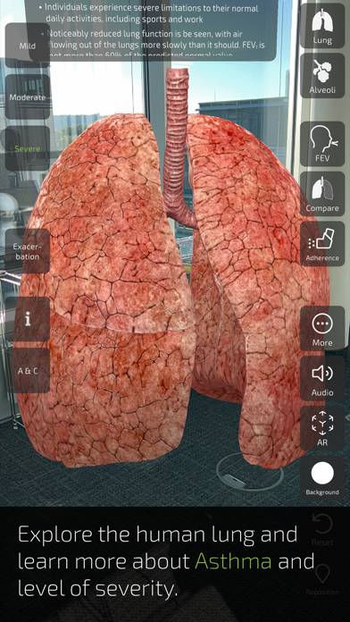 Insight Lung App-Screenshot #4