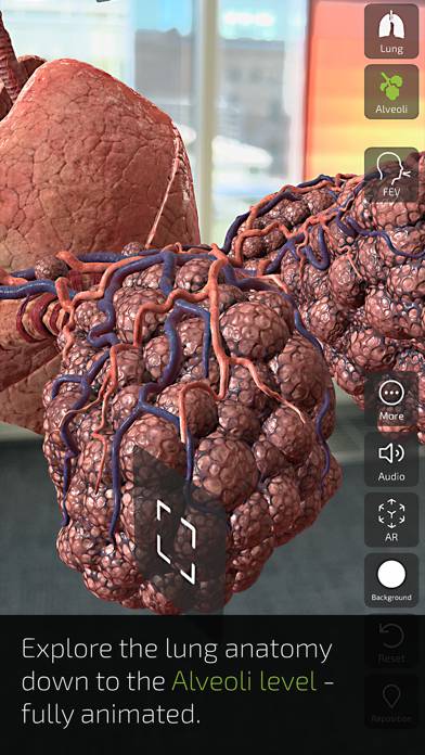 Insight Lung App-Screenshot #5