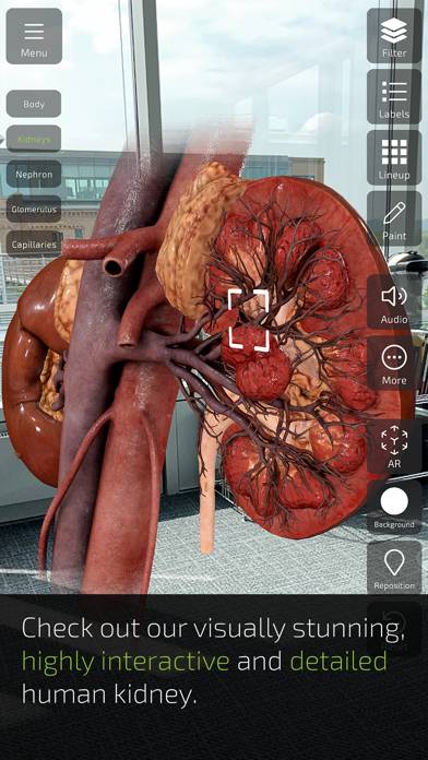 Insight Kidney App-Screenshot #3