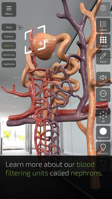 Insight Kidney App-Screenshot #4