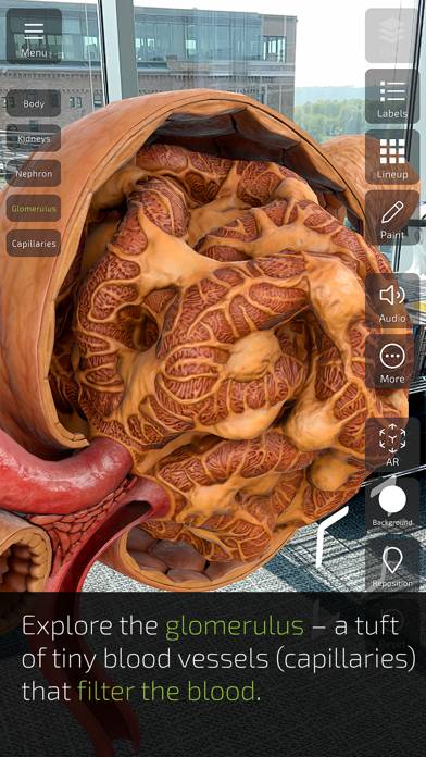 Insight Kidney App-Screenshot #5