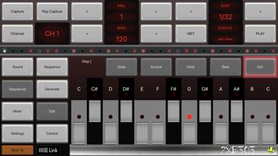 2XB303 Bass Sequencer EDM-303 Schermata dell'app #1