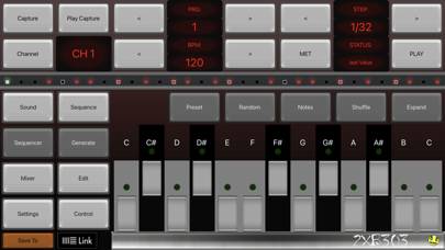 2XB303 Bass Sequencer EDM-303 Captura de pantalla de la aplicación #3