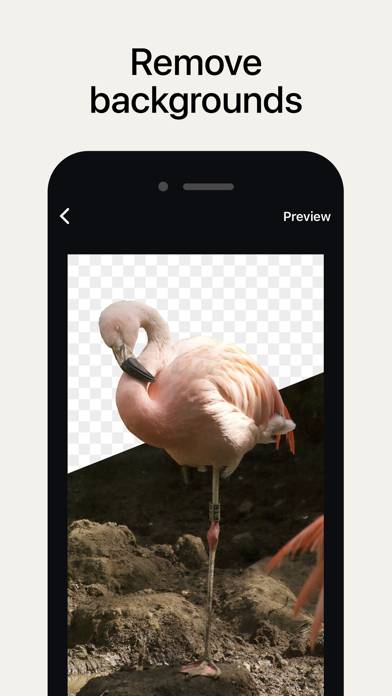SCRL: Photo Collage Maker Schermata dell'app #6