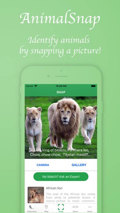 AnimalSnap App skärmdump #1
