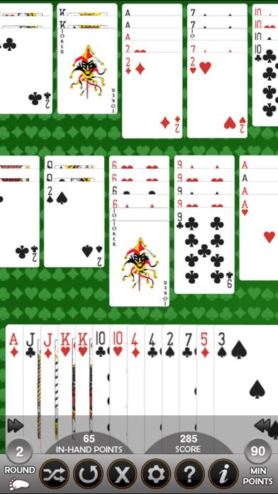 Hand and Foot Card Game screenshot