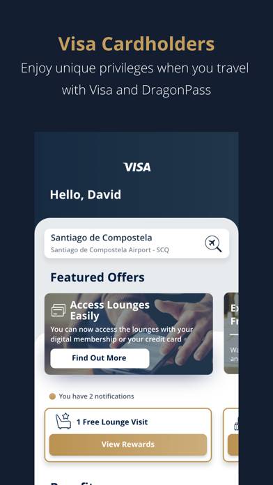 Visa Airport Companion App screenshot #1