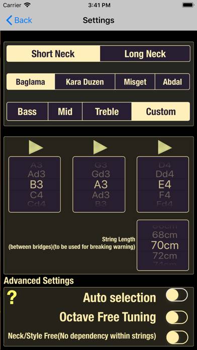Dybos Baglama Tuner App-Screenshot #5