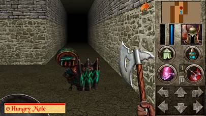 The Quest schermata del gioco