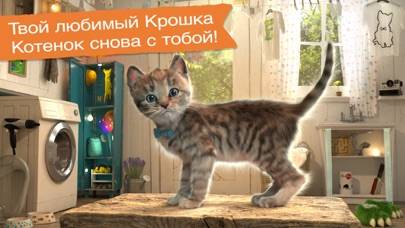 Little Kitten Adventure Games Schermata dell'app #1