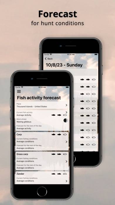 When to Fish - Fishing App Скриншот