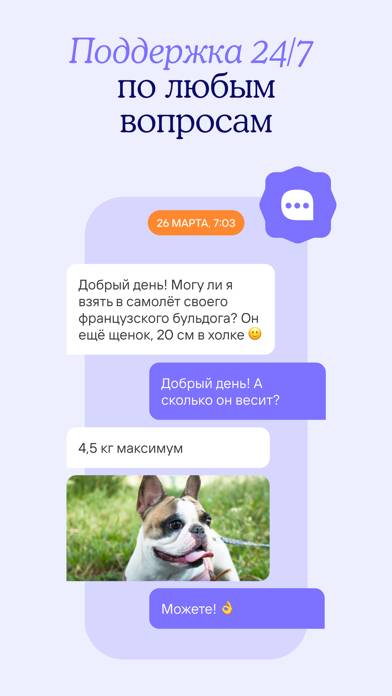 Tutu.ru: flights, railway, bus App screenshot #6
