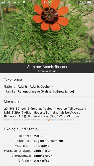 Flora Incognita App skärmdump #5