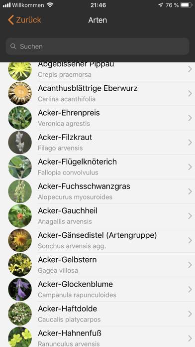 Flora Incognita App-Screenshot #6