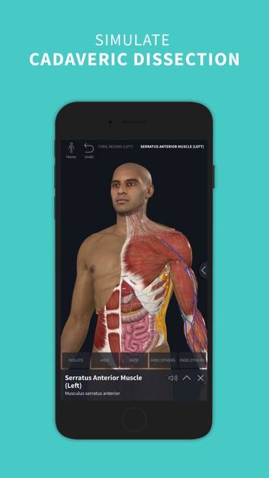 Complete Anatomy ‘24 Captura de pantalla de la aplicación #2