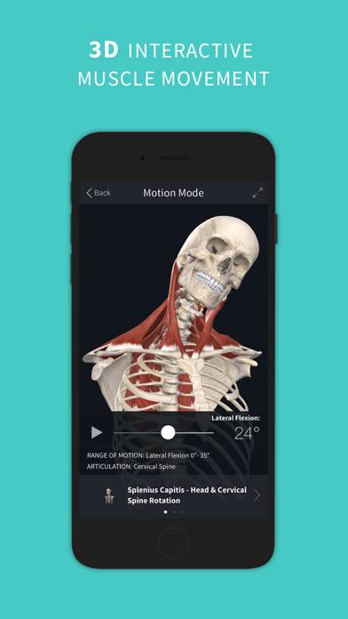Complete Anatomy ‘24 App skärmdump #3