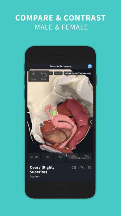 Complete Anatomy ‘24 App skärmdump #4