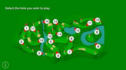 Pro Golf Challenge schermata del gioco