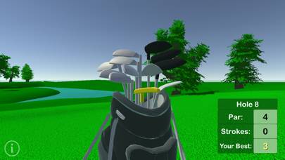 Pro Golf Challenge schermata del gioco